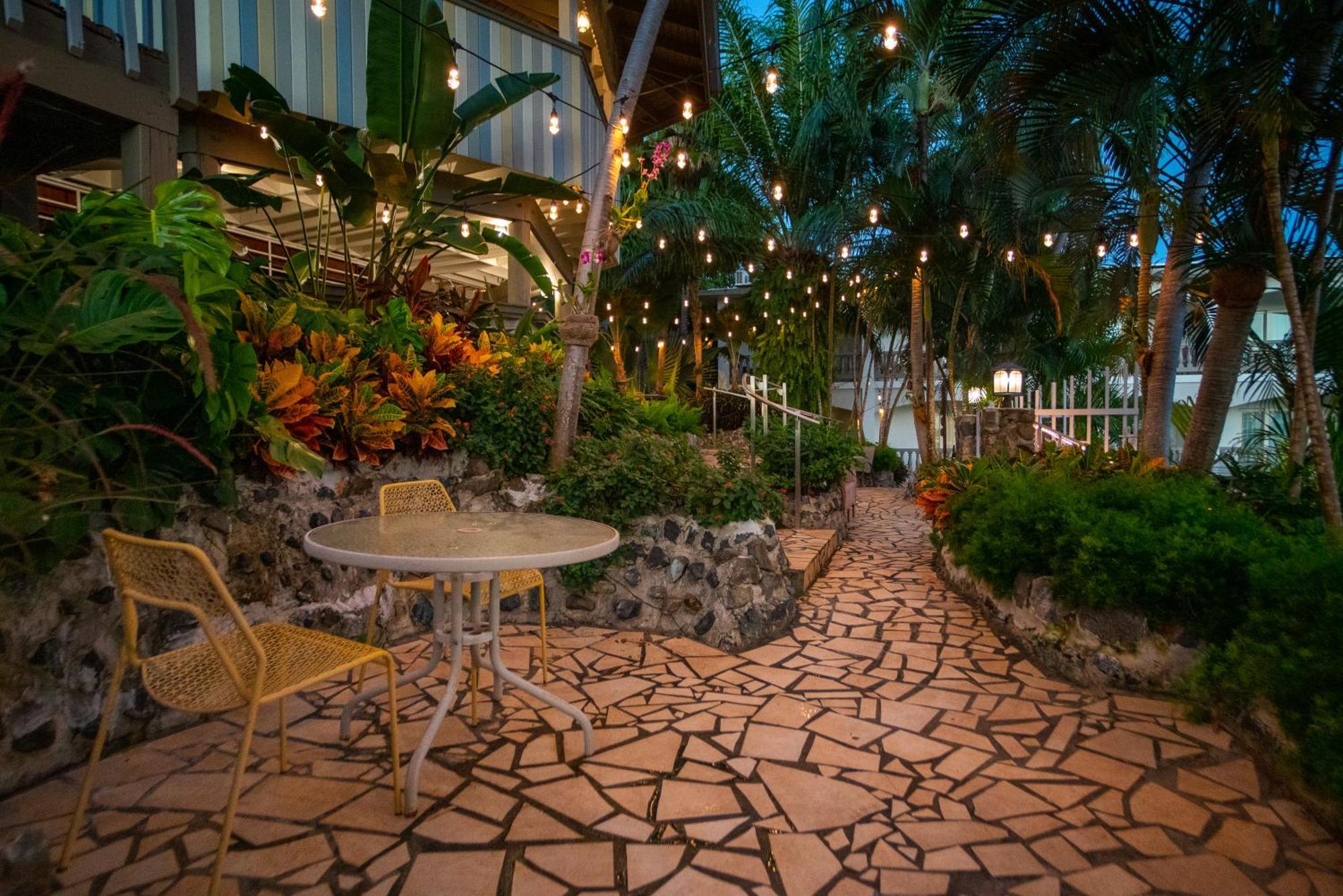 Lazy Parrot Inn リンコン エクステリア 写真